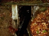 yavoryna_2005_008-web