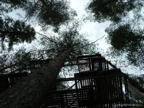 Отель на деревьях (Treehotel , Швеция)