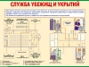 zs08.jpg
