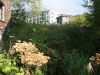 Петропавловск-Камчатский-54